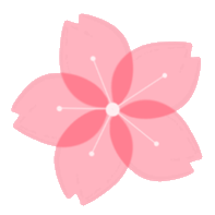 小白解析公益站